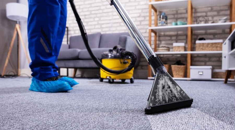 Why Choose Wow Carpet Cleaning